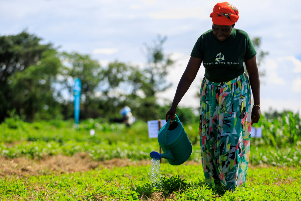 Desk with leather desk pad, walnut desk organizer, wireless keyboard and mouse, and porcelain mug.