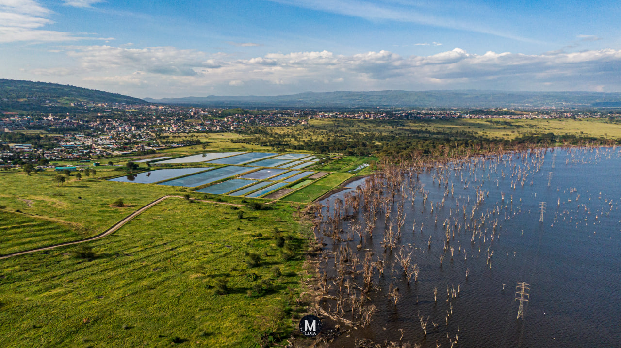 Desk with leather desk pad, walnut desk organizer, wireless keyboard and mouse, and porcelain mug.